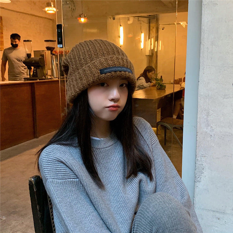 Women's Autumn And Winter Thickening Wool Blend Knitted Hat